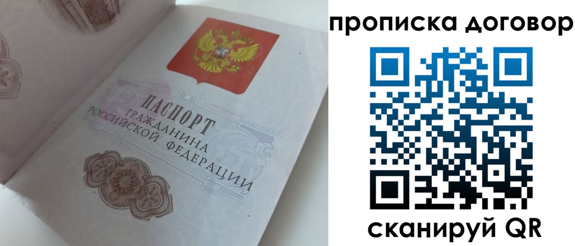 прописка поиск в Зеленоградске